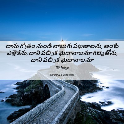 Picture 06 - యెహోషువ 21:23 TELIRV - దాను గోత్రం నుండి - Bible Verse Picture