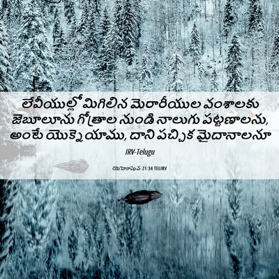Picture 06 - యెహోషువ 21:34 TELIRV - లేవీయుల్లో - Bible Verse Picture