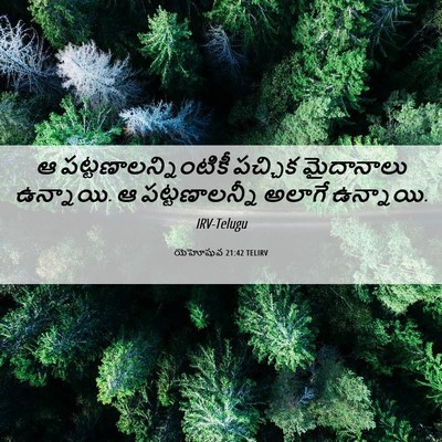 Picture 06 - యెహోషువ 21:42 TELIRV - ఆ - Bible Verse Picture