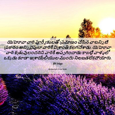 Picture 06 - యెహోషువ 21:44 TELIRV - యెహోవా వారి - Bible Verse Picture