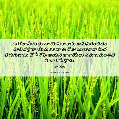 Picture 06 - యెహోషువ 22:18 TELIRV - ఈ రోజు మీరు కూడా - Bible Verse Picture