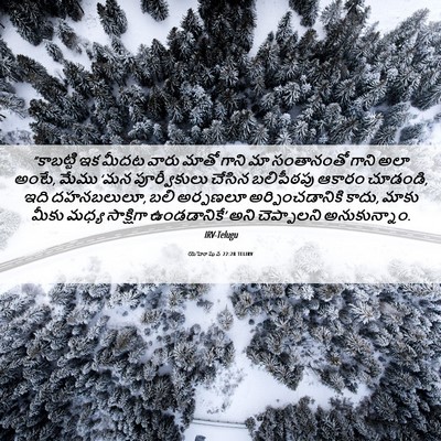 Picture 06 - యెహోషువ 22:28 TELIRV - “కాబట్టి ఇక మీదట - Bible Verse Picture
