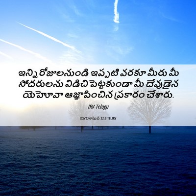 Picture 06 - యెహోషువ 22:3 TELIRV - ఇన్నిరోజులనుండి - Bible Verse Picture