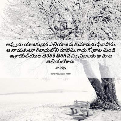 Picture 06 - యెహోషువ 22:32 TELIRV - అప్పుడు యాజకుడైన - Bible Verse Picture