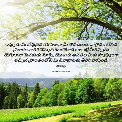 Picture 06 - యెహోషువ 22:4 TELIRV - ఇప్పుడు మీ - Bible Verse Picture