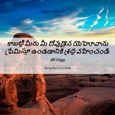 Picture 06 - యెహోషువ 23:11 TELIRV - కాబట్టి మీరు మీ - Bible Verse Picture