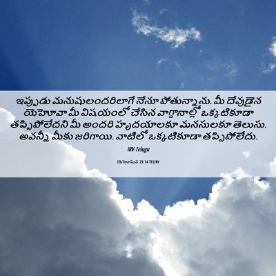 Picture 06 - యెహోషువ 23:14 TELIRV - ఇప్పుడు - Bible Verse Picture