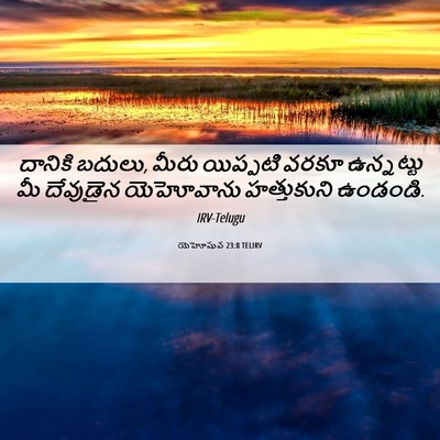 Picture 06 - యెహోషువ 23:8 TELIRV - దానికి బదులు, మీరు - Bible Verse Picture