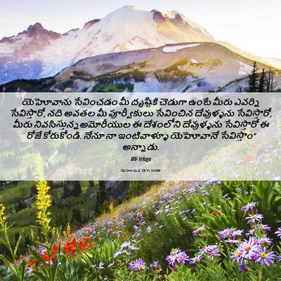 Picture 06 - యెహోషువ 24:15 TELIRV - యెహోవాను సేవించడం - Bible Verse Picture