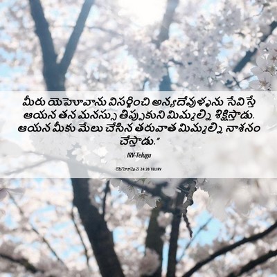 Picture 06 - యెహోషువ 24:20 TELIRV - మీరు యెహోవాను - Bible Verse Picture