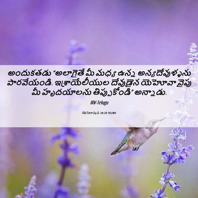 Picture 06 - యెహోషువ 24:23 TELIRV - అందుకతడు “అలాగైతే - Bible Verse Picture