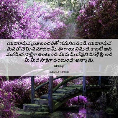 Picture 06 - యెహోషువ 24:27 TELIRV - యెహోషువ - Bible Verse Picture