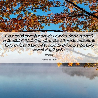 Picture 06 - యెహోషువ 3:4 TELIRV - మీకూ దానికీ - Bible Verse Picture