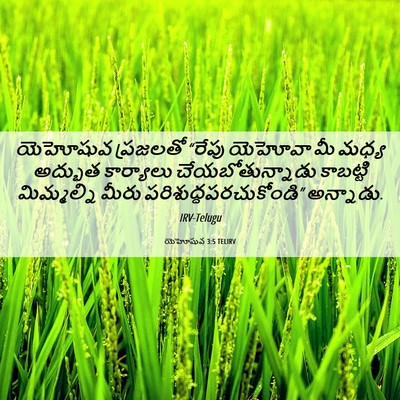 Picture 06 - యెహోషువ 3:5 TELIRV - యెహోషువ ప్రజలతో - Bible Verse Picture