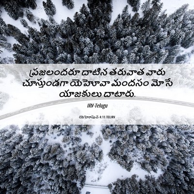 Picture 06 - యెహోషువ 4:11 TELIRV - ప్రజలందరూ దాటిన - Bible Verse Picture