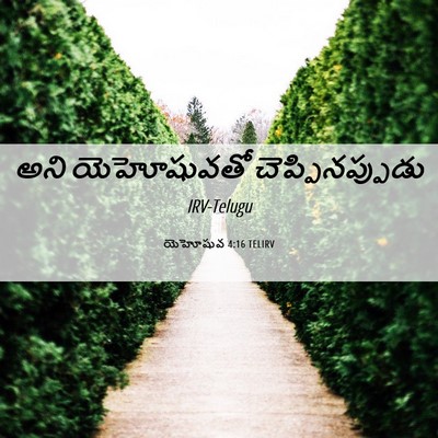 Picture 06 - యెహోషువ 4:16 TELIRV - అని యెహోషువతో - Bible Verse Picture