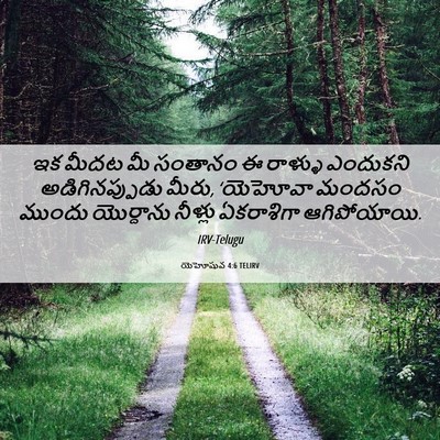 Picture 06 - యెహోషువ 4:6 TELIRV - ఇక మీదట మీ సంతానం ఈ - Bible Verse Picture