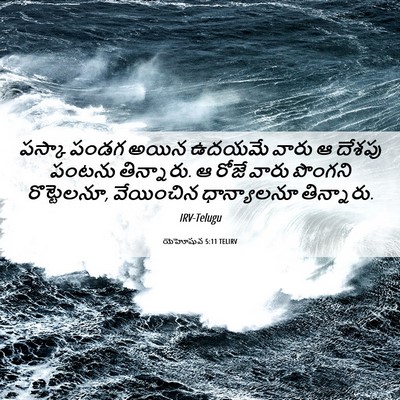 Picture 06 - యెహోషువ 5:11 TELIRV - పస్కా పండగ అయిన - Bible Verse Picture