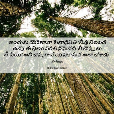 Picture 06 - యెహోషువ 5:15 TELIRV - అందుకు యెహోవా - Bible Verse Picture