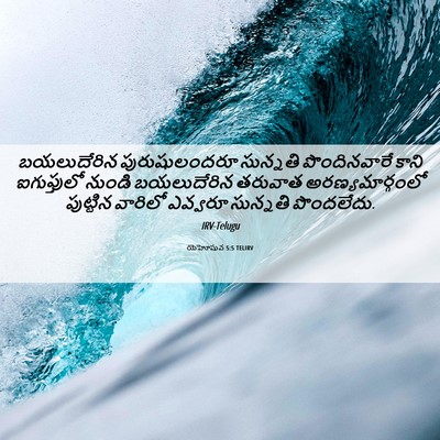 Picture 06 - యెహోషువ 5:5 TELIRV - బయలుదేరిన - Bible Verse Picture