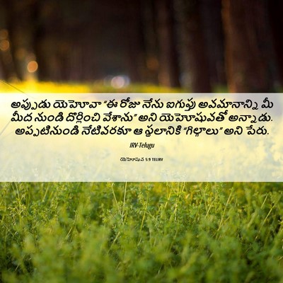 Picture 06 - యెహోషువ 5:9 TELIRV - అప్పుడు యెహోవా “ఈ - Bible Verse Picture