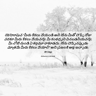 Picture 06 - యెహోషువ 6:10 TELIRV - యెహోషువ “మీరు - Bible Verse Picture