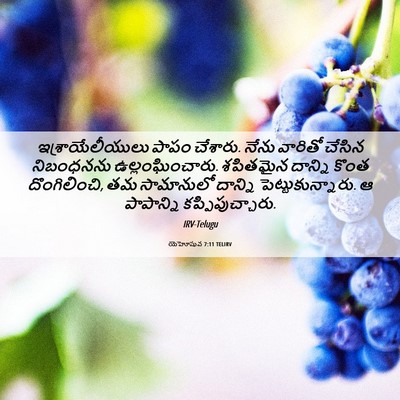 Picture 06 - యెహోషువ 7:11 TELIRV - ఇశ్రాయేలీయులు - Bible Verse Picture