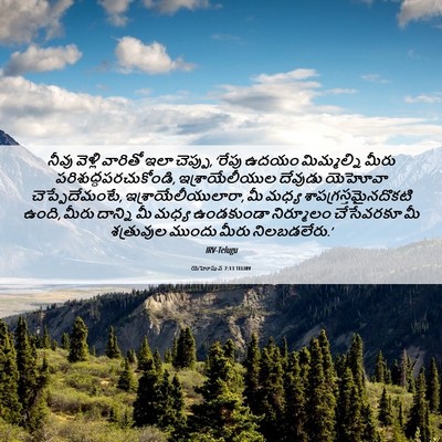 Picture 06 - యెహోషువ 7:13 TELIRV - నీవు వెళ్లి - Bible Verse Picture