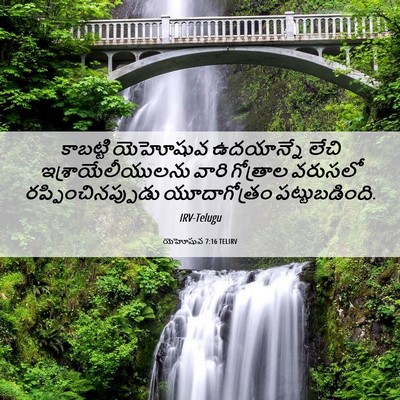 Picture 06 - యెహోషువ 7:16 TELIRV - కాబట్టి యెహోషువ - Bible Verse Picture