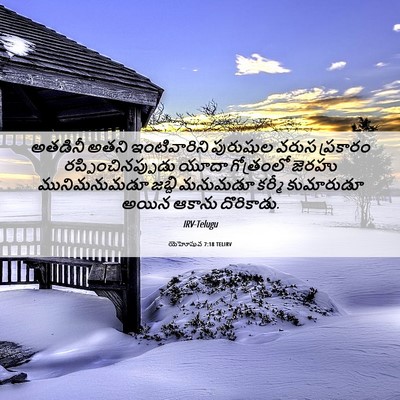Picture 06 - యెహోషువ 7:18 TELIRV - అతడినీ అతని - Bible Verse Picture