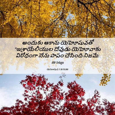 Picture 06 - యెహోషువ 7:20 TELIRV - అందుకు ఆకాను - Bible Verse Picture