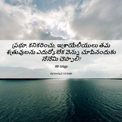 Picture 06 - యెహోషువ 7:8 TELIRV - ప్రభూ, కనికరించు, - Bible Verse Picture