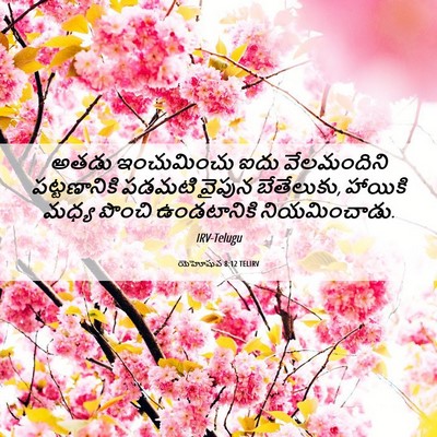 Picture 06 - యెహోషువ 8:12 TELIRV - అతడు ఇంచుమించు - Bible Verse Picture