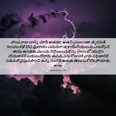 Picture 06 - యెహోషువ 8:14 TELIRV - హాయి రాజు దాన్ని - Bible Verse Picture