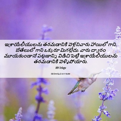 Picture 06 - యెహోషువ 8:17 TELIRV - ఇశ్రాయేలీయులను - Bible Verse Picture