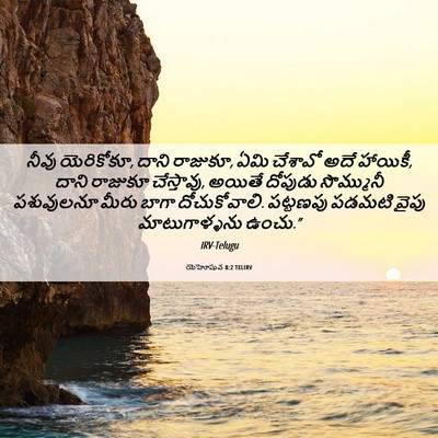 Picture 06 - యెహోషువ 8:2 TELIRV - నీవు యెరికోకూ, - Bible Verse Picture