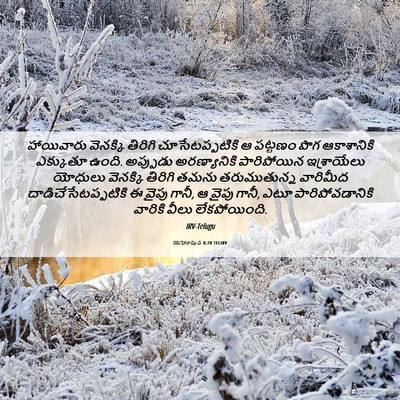 Picture 06 - యెహోషువ 8:20 TELIRV - హాయివారు వెనక్కి - Bible Verse Picture