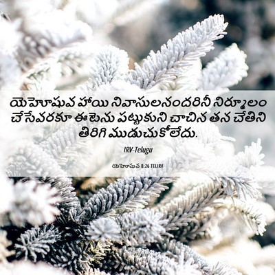 Picture 06 - యెహోషువ 8:26 TELIRV - యెహోషువ హాయి - Bible Verse Picture