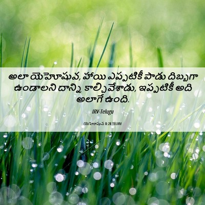 Picture 06 - యెహోషువ 8:28 TELIRV - అలా యెహోషువ, హాయి - Bible Verse Picture