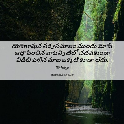 Picture 06 - యెహోషువ 8:35 TELIRV - యెహోషువ సర్వసమాజం - Bible Verse Picture