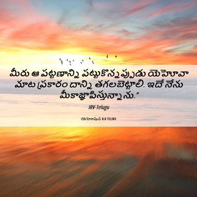 Picture 06 - యెహోషువ 8:8 TELIRV - మీరు ఆ పట్టణాన్ని - Bible Verse Picture