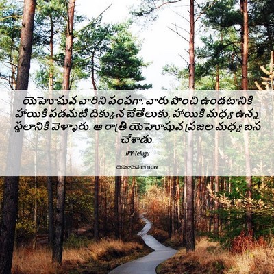 Picture 06 - యెహోషువ 8:9 TELIRV - యెహోషువ వారిని - Bible Verse Picture