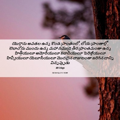 Picture 06 - యెహోషువ 9:1 TELIRV - యొర్దాను అవతల - Bible Verse Picture