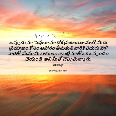 Picture 06 - యెహోషువ 9:11 TELIRV - అప్పుడు మా - Bible Verse Picture