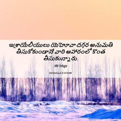 Picture 06 - యెహోషువ 9:14 TELIRV - ఇశ్రాయేలీయులు - Bible Verse Picture
