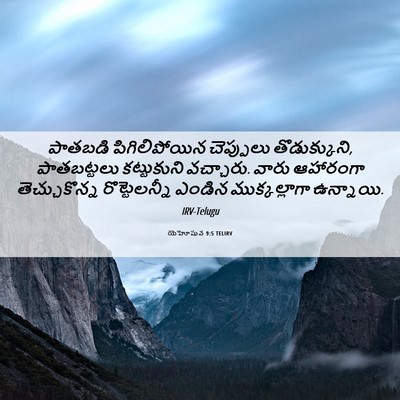 Picture 06 - యెహోషువ 9:5 TELIRV - పాతబడి - Bible Verse Picture