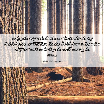 Picture 06 - యెహోషువ 9:7 TELIRV - అప్పుడు - Bible Verse Picture