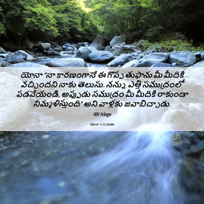 Picture 06 - యోనా 1:12 TELIRV - యోనా “నా - Bible Verse Picture