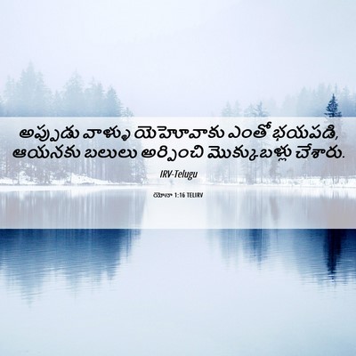Picture 06 - యోనా 1:16 TELIRV - అప్పుడు వాళ్ళు - Bible Verse Picture