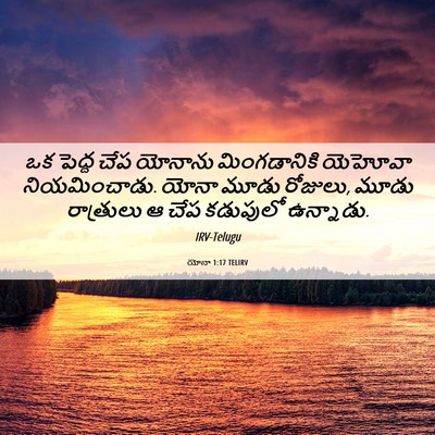 Picture 06 - యోనా 1:17 TELIRV - ఒక పెద్ద చేప - Bible Verse Picture